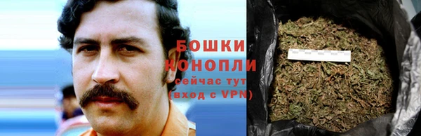 трава Арсеньев
