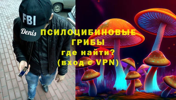 трава Арсеньев