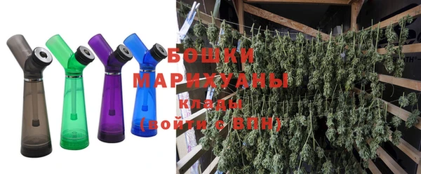 трава Арсеньев