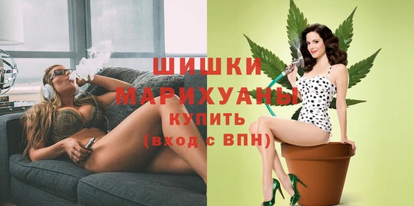 трава Арсеньев